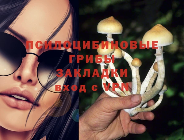 MDMA Premium VHQ Алзамай